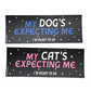 My Cat's Expecting Me (matte) - Bumper Sticker