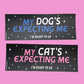 My Cat's Expecting Me (matte) - Bumper Sticker