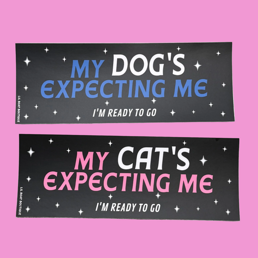 My Cat's Expecting Me (matte) - Bumper Sticker