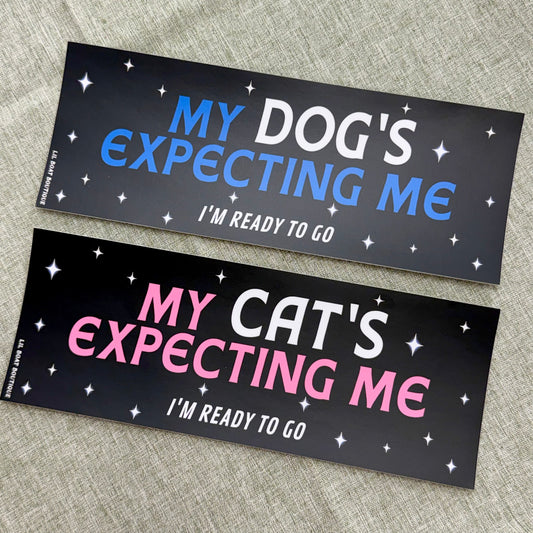 My Dog's Expecting Me (matte) - Bumper Sticker - Djo Gloom
