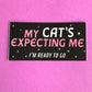 My Cat's Expecting Me Vinyl Sticker