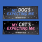 Two rectangular bumper stickers shown on a solid blue background. The top sticker reads 'MY DOG'S EXPECTING ME I'M READY TO GO' in blue and white text on a black background with white star graphics.