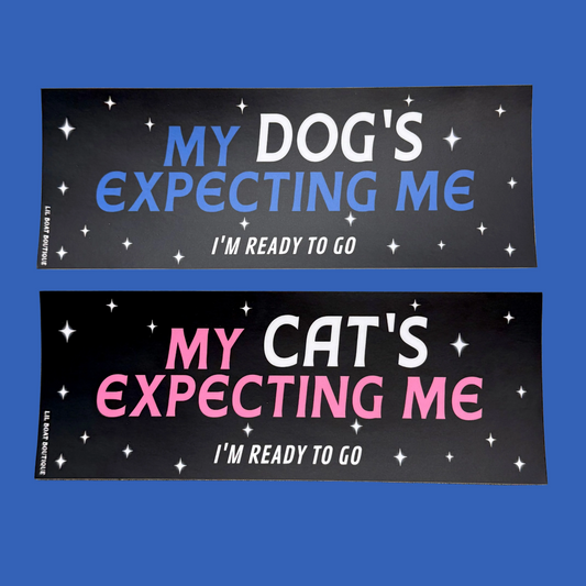 Two rectangular bumper stickers shown on a solid blue background. The top sticker reads 'MY DOG'S EXPECTING ME I'M READY TO GO' in blue and white text on a black background with white star graphics.