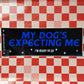 My Dog's Expecting Me (glossy) - Bumper Sticker - Djo Gloom