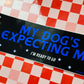 My Dog's Expecting Me (glossy) - Bumper Sticker - Djo Gloom