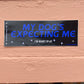 My Dog's Expecting Me (glossy) - Bumper Sticker - Djo Gloom