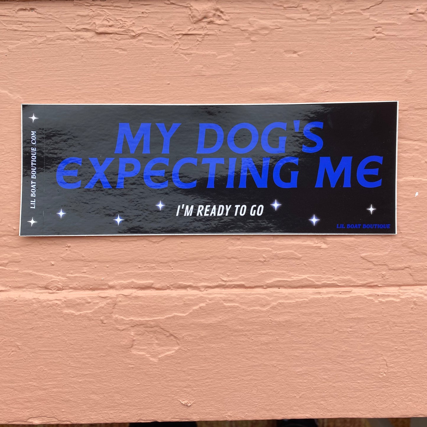 My Dog's Expecting Me (glossy) - Bumper Sticker - Djo Gloom