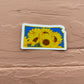 Kansas Sunflower - Vinyl Sticker - State Flower Series