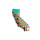 California Poppy Hard Enamel Pin - State Flower Series