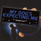 My Dog's Expecting Me (glossy) - Bumper Sticker - Djo Gloom