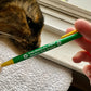 You Gotta Do What Makes You Happy Pen