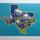 Texas Bluebonnet - 4 x 6" Print